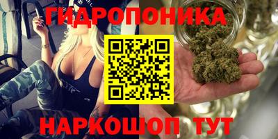 ПСИЛОЦИБИНОВЫЕ ГРИБЫ Нарткала