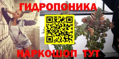 ПСИЛОЦИБИНОВЫЕ ГРИБЫ Нарткала