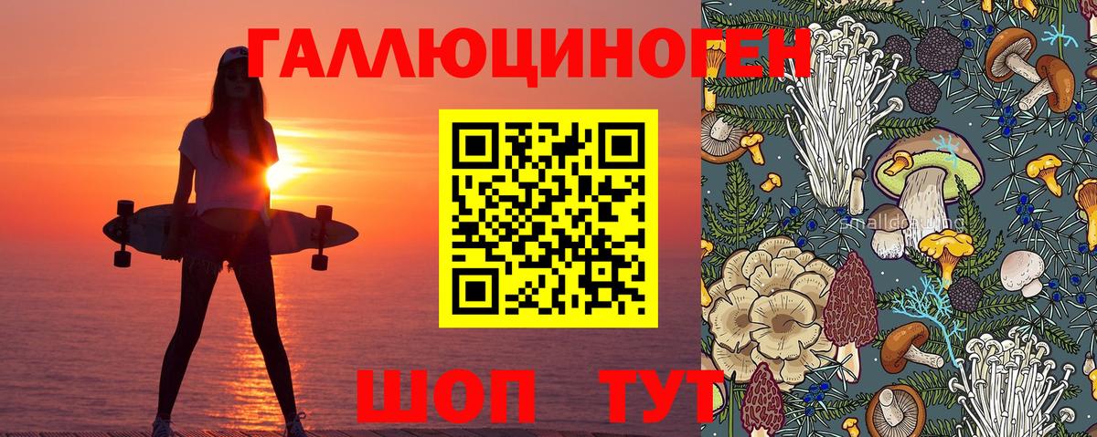 Псилоцибиновые грибы MAGIC MUSHROOMS  Вход с VPN  Сунжа  Галлюциногенные грибы прущие грибы 