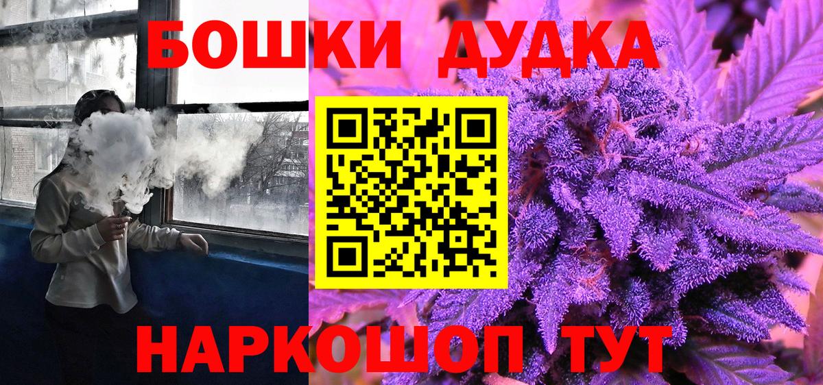 Канабис сатива Сунжа